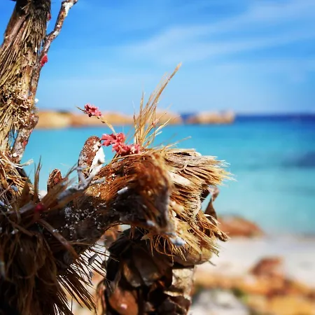 Apartman Casa Duminicheddha, Mare E Relax In Gallura Bassacutena